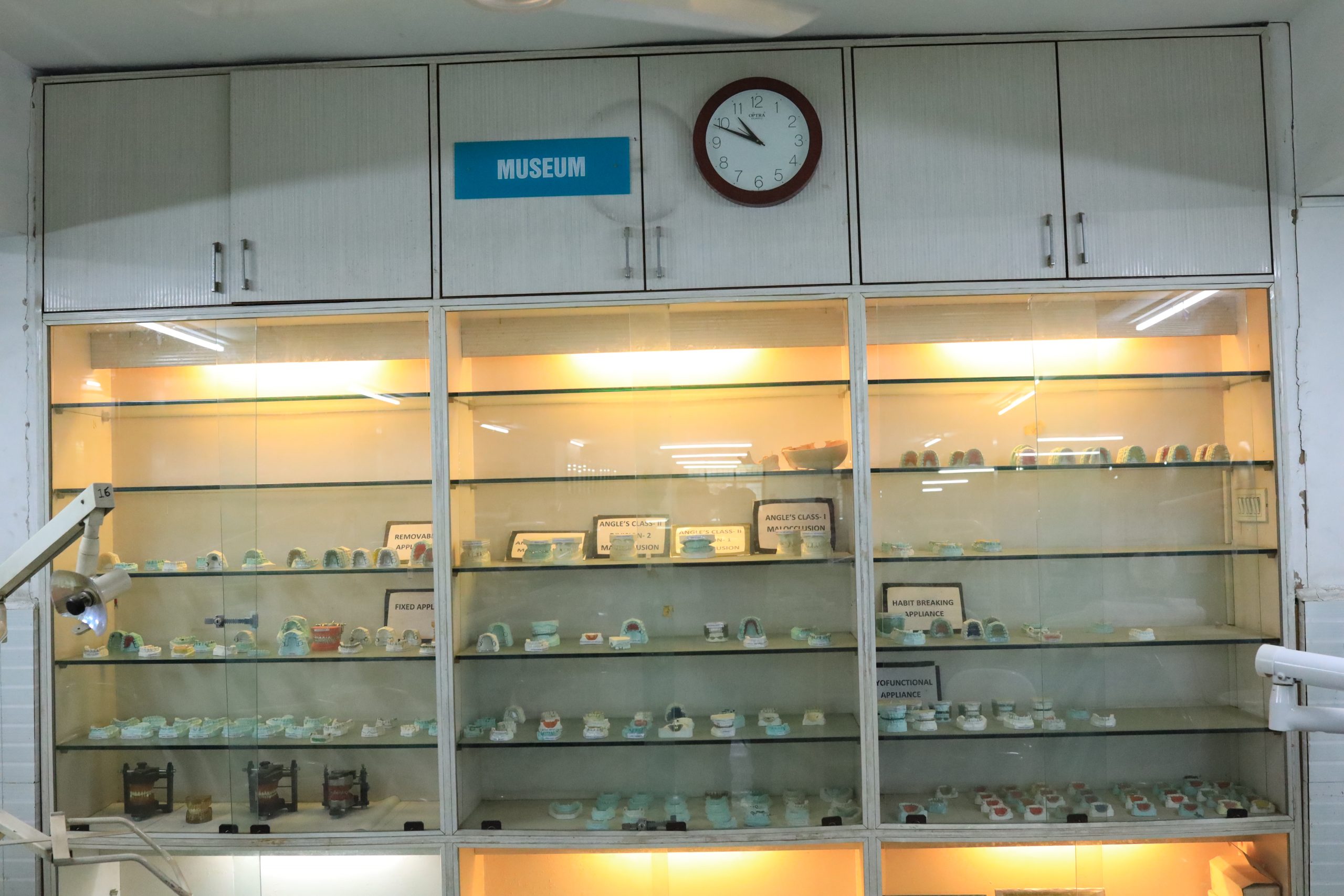 Orthodontic-model-Museum-scaled-2